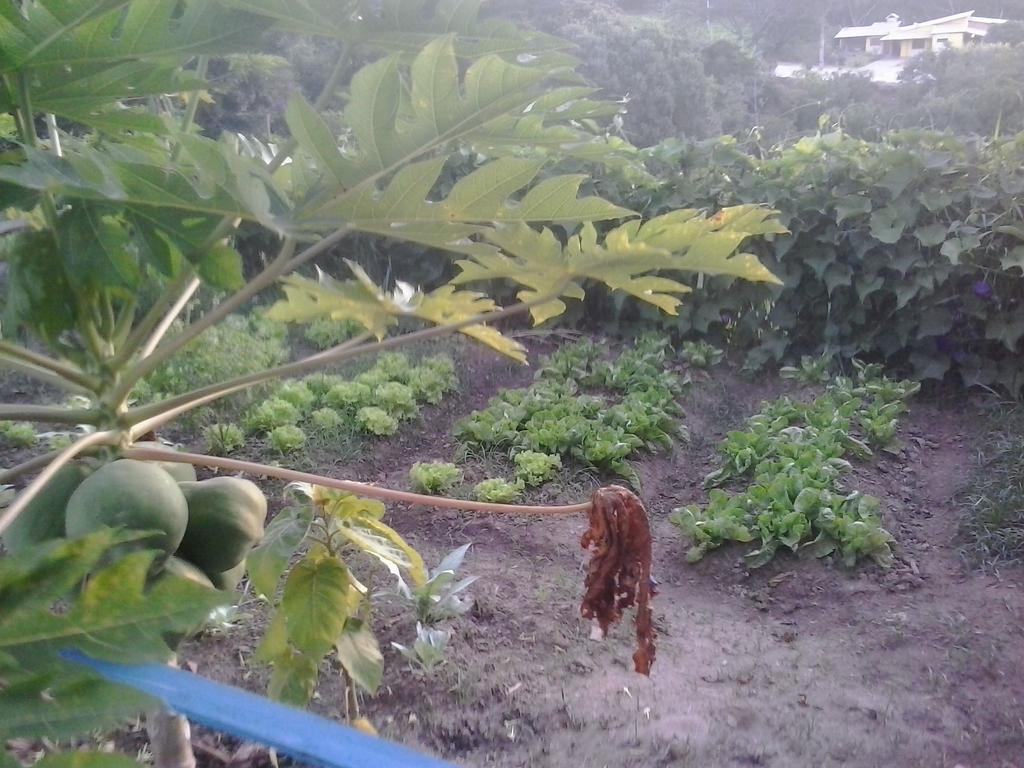 Pousada Complexo Cantagalo São Tomé das Letras Dış mekan fotoğraf